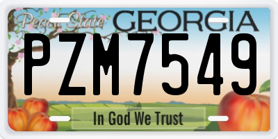 GA license plate PZM7549