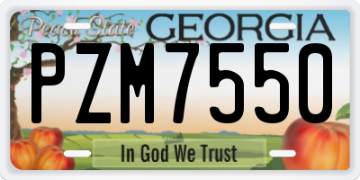 GA license plate PZM7550
