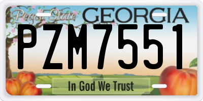 GA license plate PZM7551