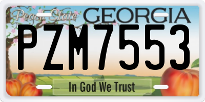 GA license plate PZM7553