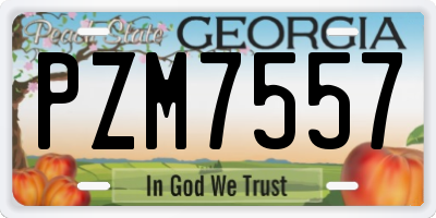 GA license plate PZM7557