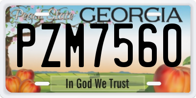 GA license plate PZM7560
