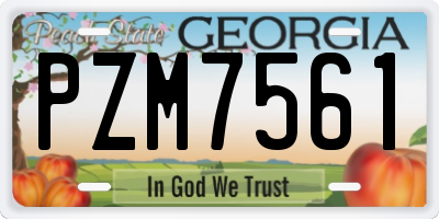 GA license plate PZM7561
