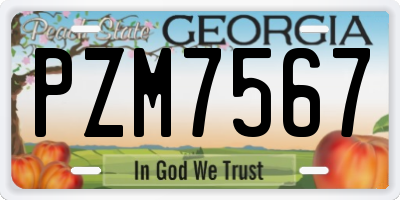 GA license plate PZM7567