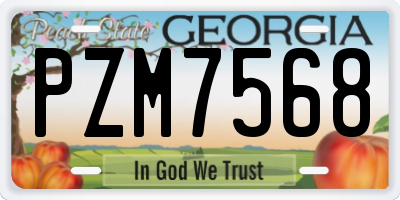 GA license plate PZM7568