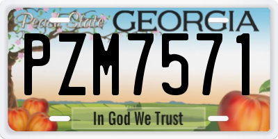 GA license plate PZM7571