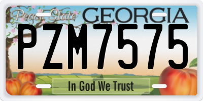 GA license plate PZM7575