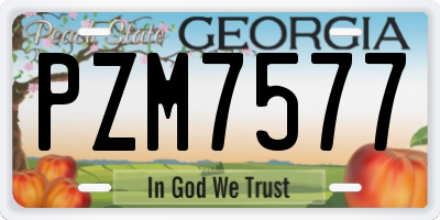 GA license plate PZM7577