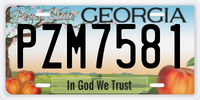 GA license plate PZM7581