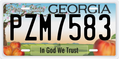 GA license plate PZM7583