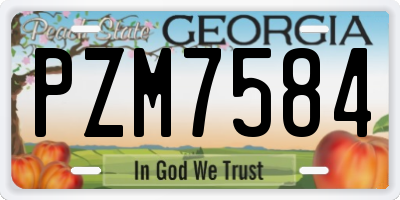 GA license plate PZM7584