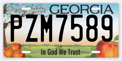 GA license plate PZM7589
