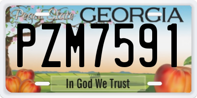 GA license plate PZM7591