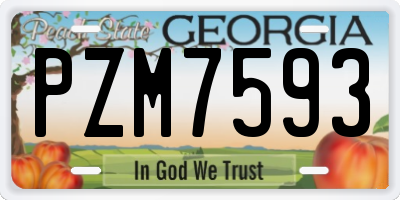 GA license plate PZM7593
