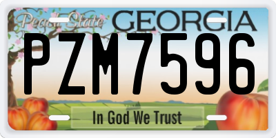 GA license plate PZM7596