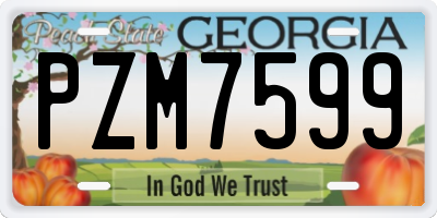 GA license plate PZM7599