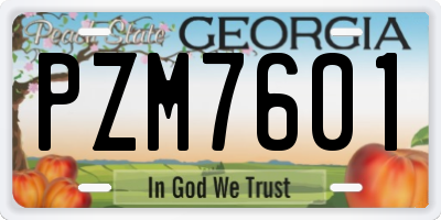 GA license plate PZM7601