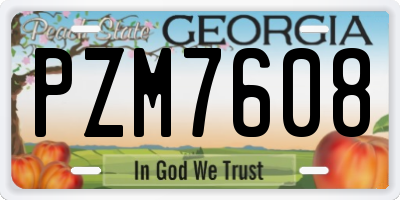 GA license plate PZM7608
