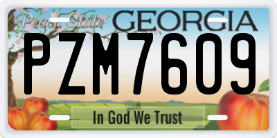 GA license plate PZM7609