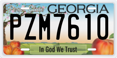 GA license plate PZM7610