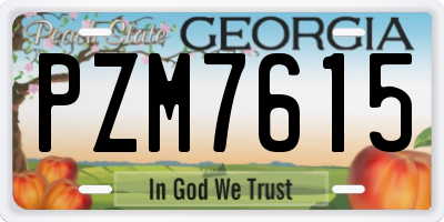 GA license plate PZM7615