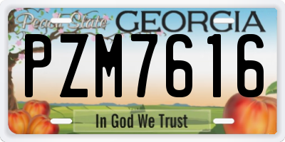 GA license plate PZM7616