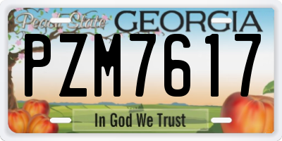 GA license plate PZM7617