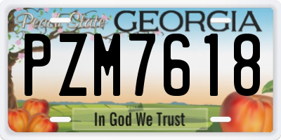 GA license plate PZM7618