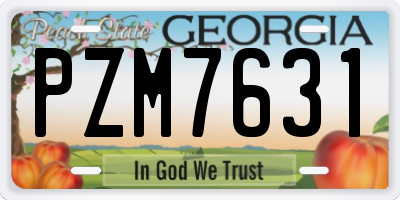 GA license plate PZM7631