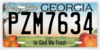 GA license plate PZM7634