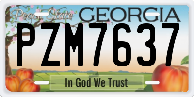 GA license plate PZM7637