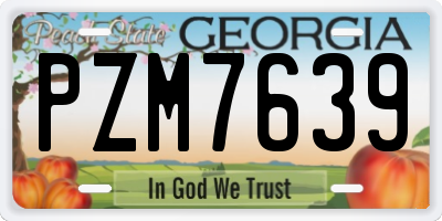 GA license plate PZM7639