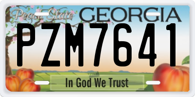 GA license plate PZM7641