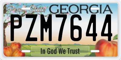 GA license plate PZM7644