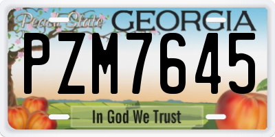 GA license plate PZM7645
