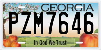 GA license plate PZM7646