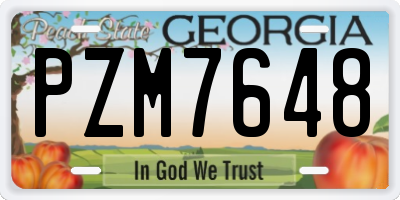 GA license plate PZM7648