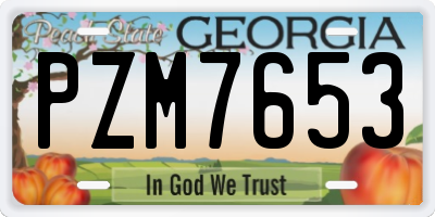GA license plate PZM7653