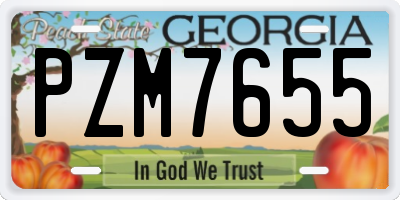 GA license plate PZM7655