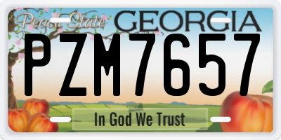 GA license plate PZM7657