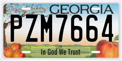GA license plate PZM7664