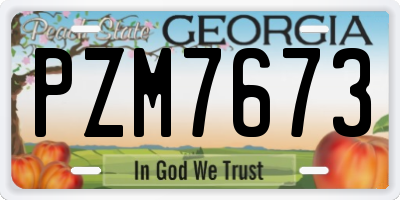 GA license plate PZM7673