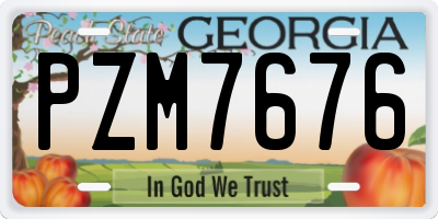 GA license plate PZM7676