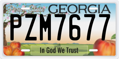 GA license plate PZM7677