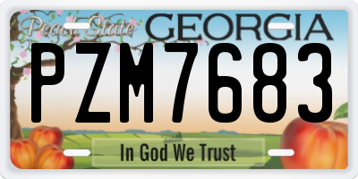 GA license plate PZM7683
