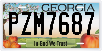 GA license plate PZM7687