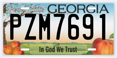 GA license plate PZM7691