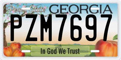 GA license plate PZM7697