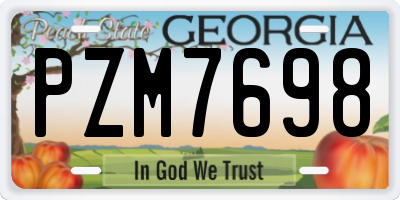 GA license plate PZM7698