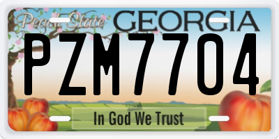 GA license plate PZM7704